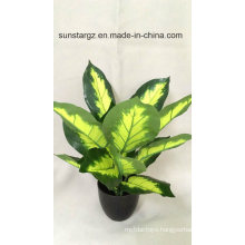 PE Dieffenbachia Potted Artificial Plant for Home Decoration (50470)